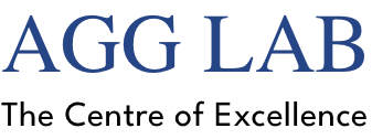 AGG LAB - The Center of Excellence